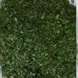 Moringa Oleifera Leaves